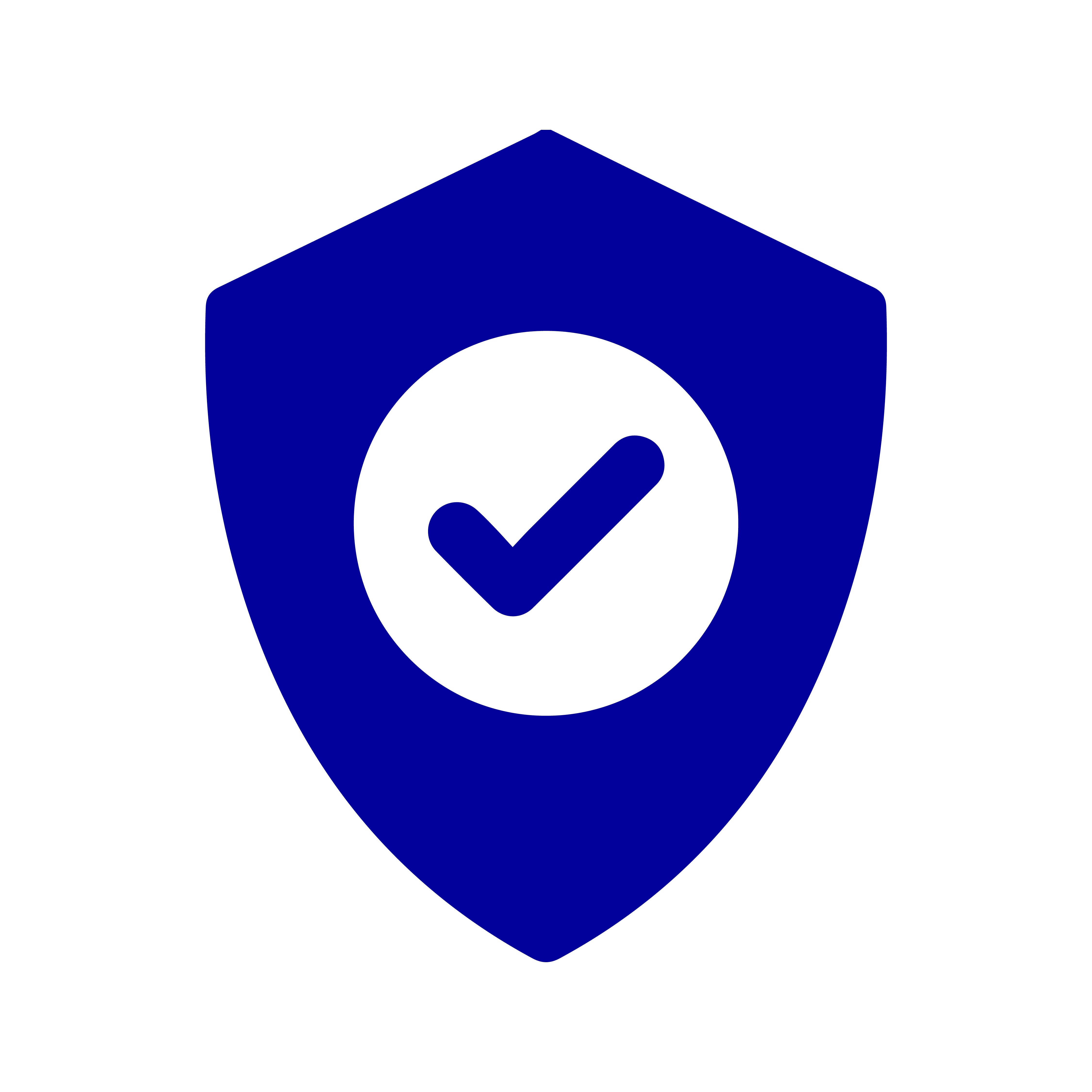 100% Secure Payment